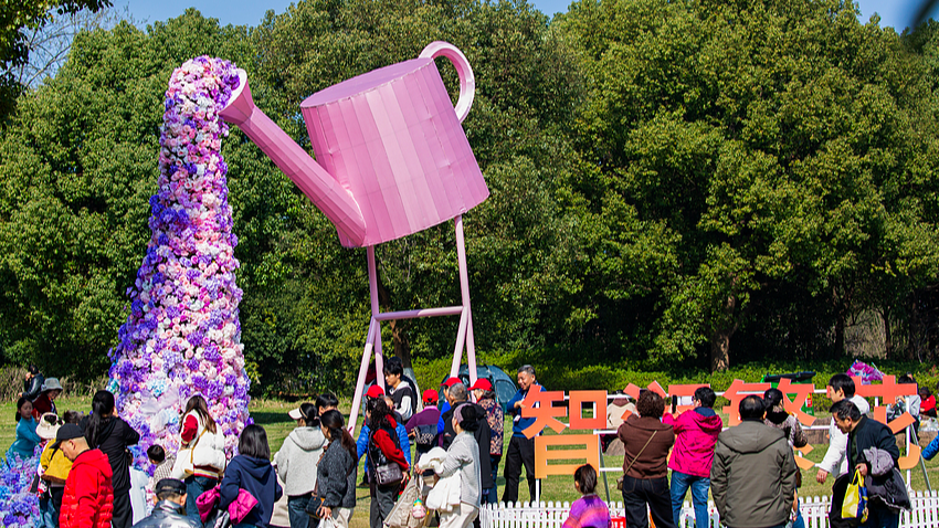 [CGTN]夏璐：Understanding China's governance logic的[第1张].png