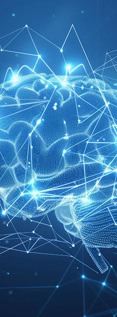 Sciences and Engineering